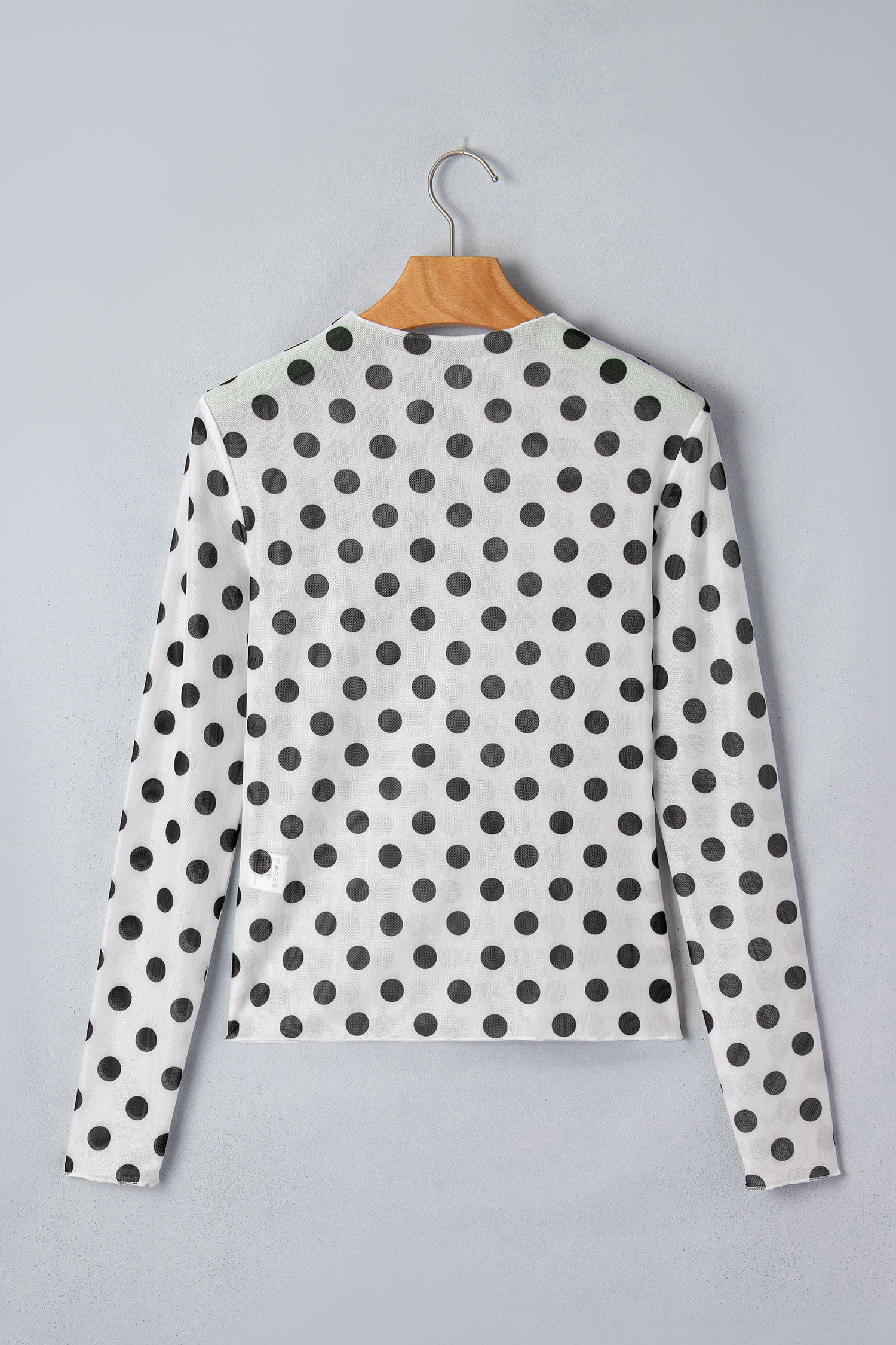 White Polka Dot Sheer Long Sleeve Round Neck Slim Top